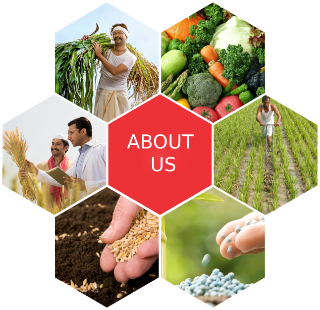 Greenlimca Agro Genetics