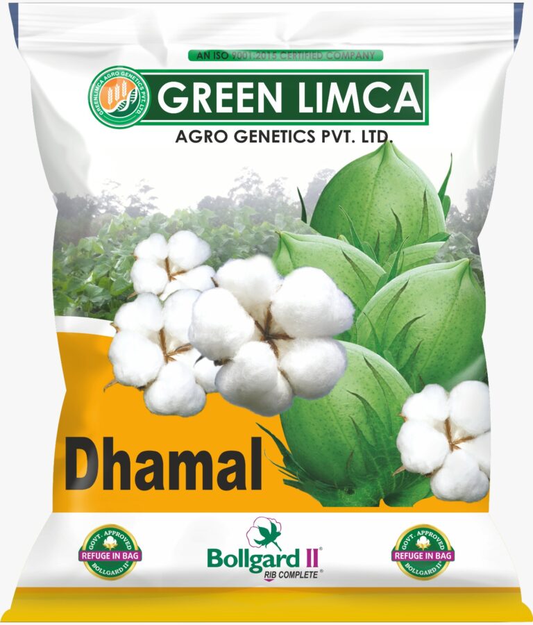 Dhamal Cotton Variety