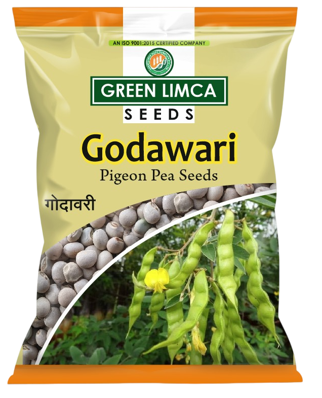 GODAWARI Pigeon Pea Variety