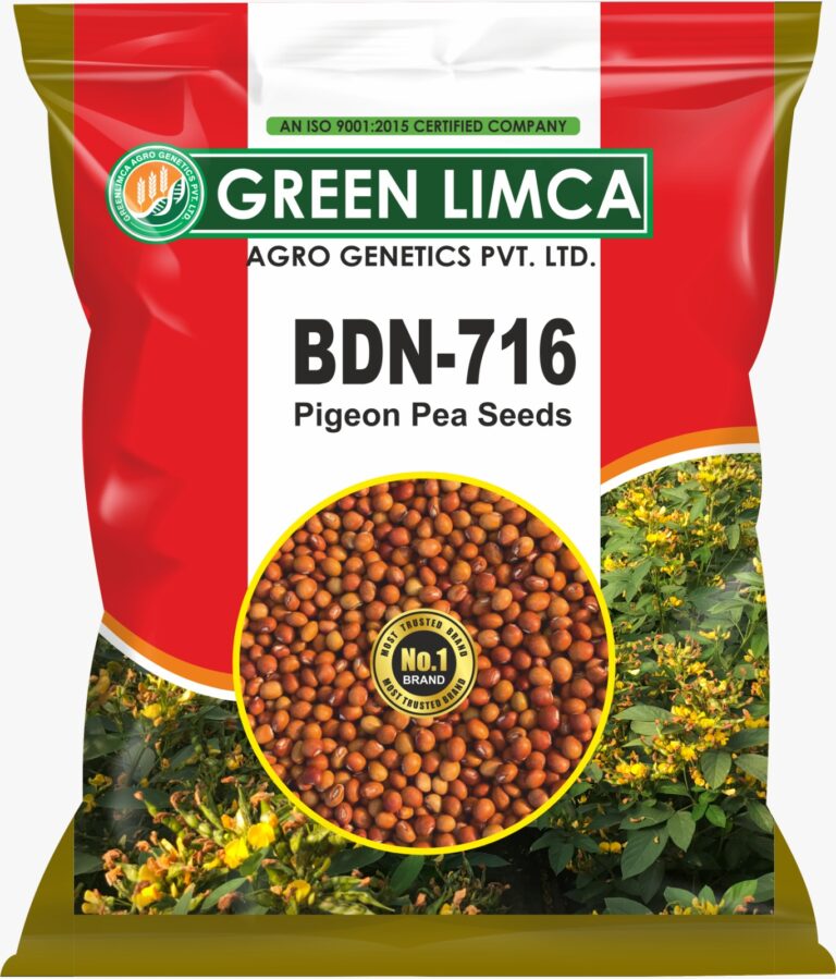 BDN-716 Pigeon Pea Variety