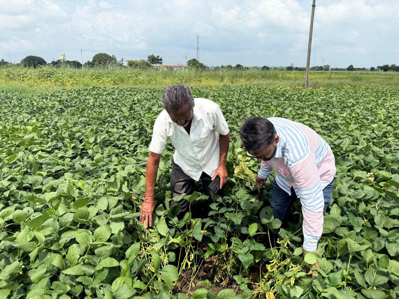 Field Visit 1