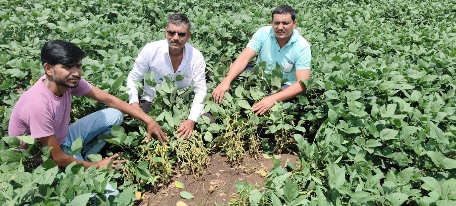 Field Visit 2