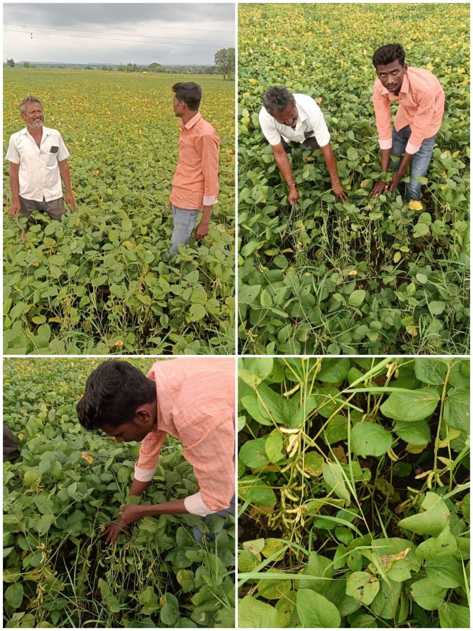 Field Visit 1