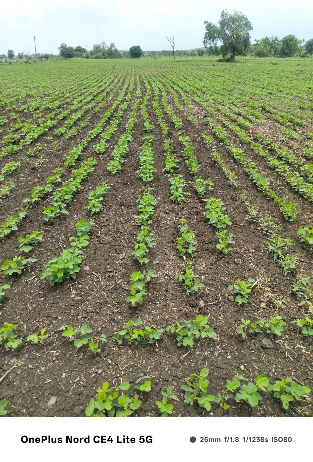 Field Visit 3