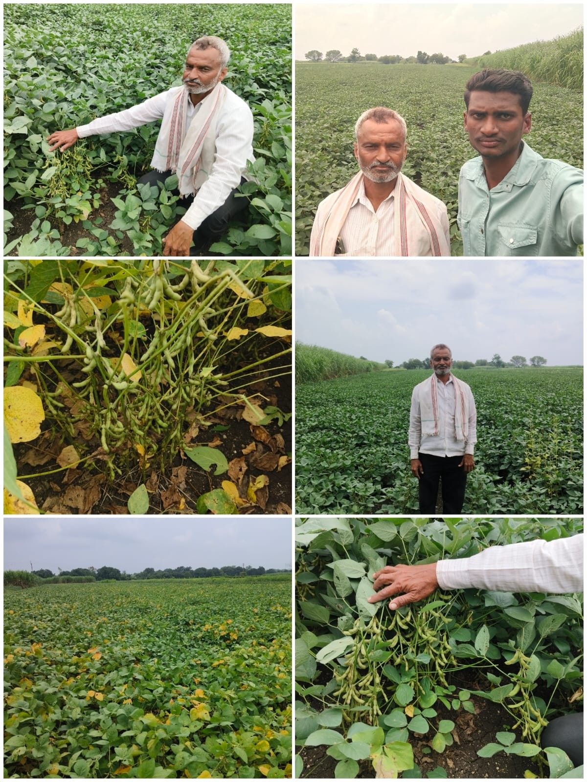 Field Visit 2