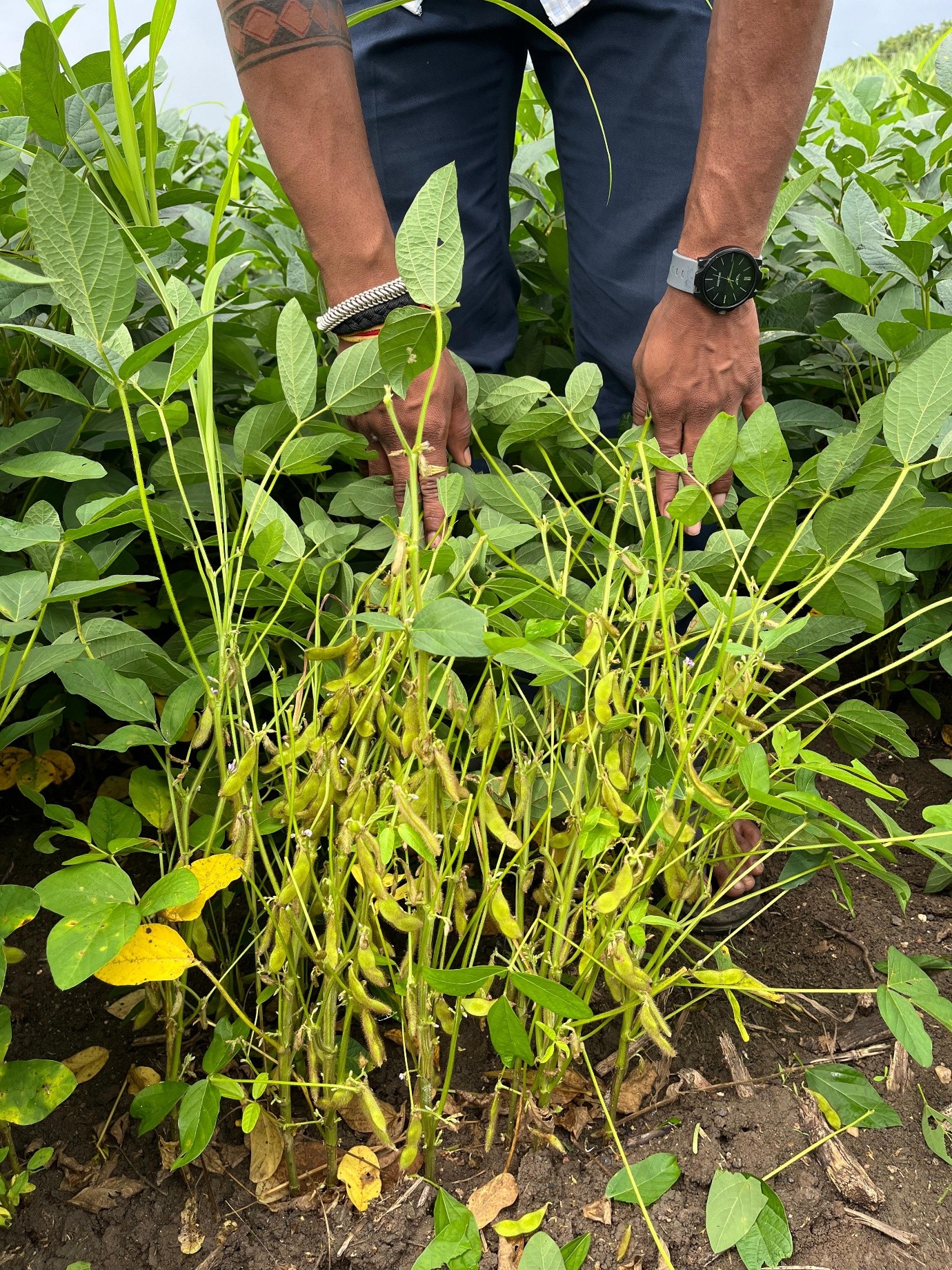 Field Visit 3