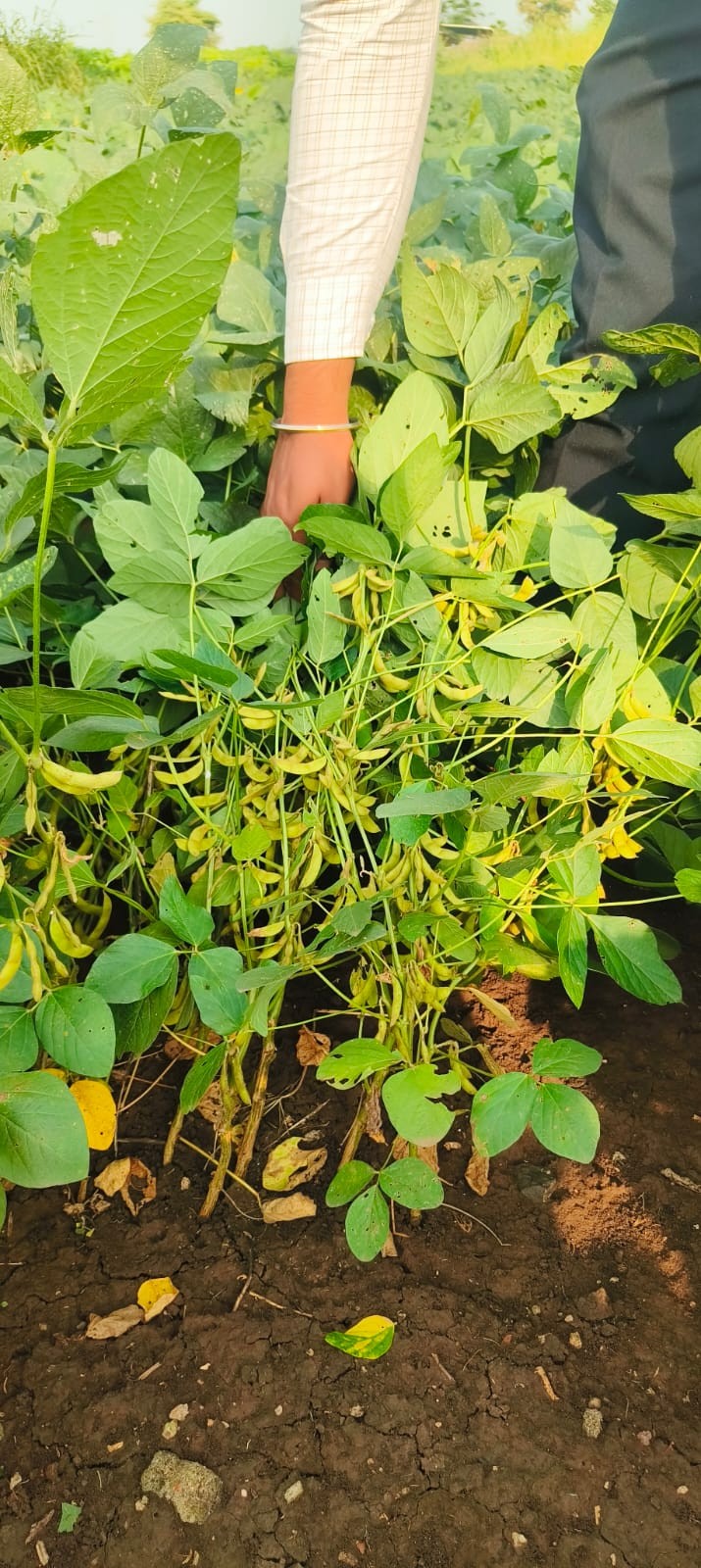 Field Visit 1