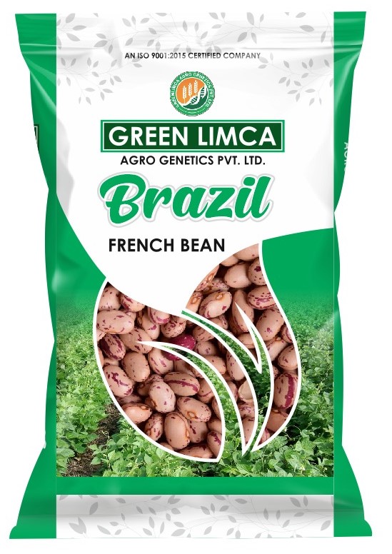 BRAZIL Variety