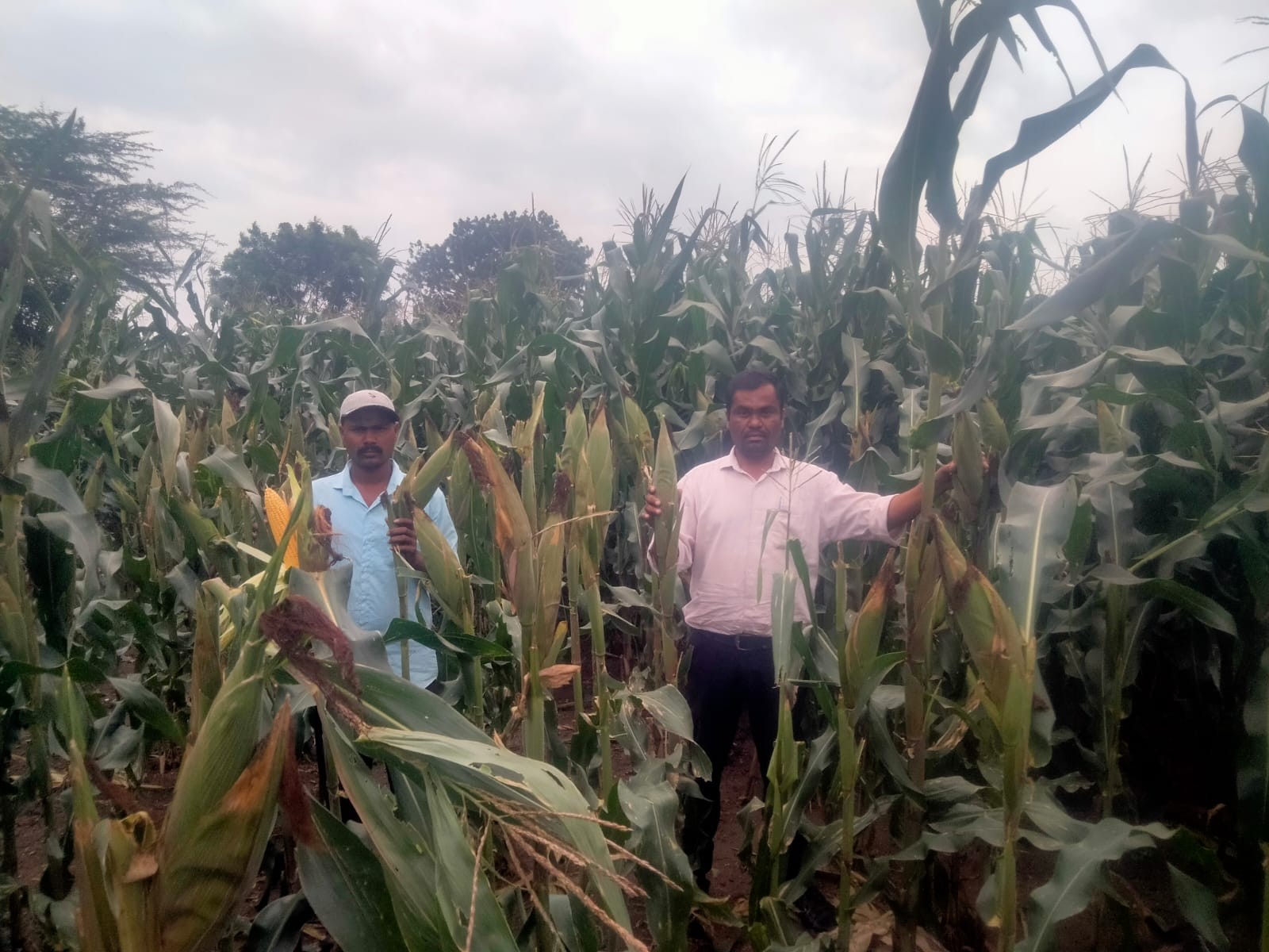 Field Visit 2