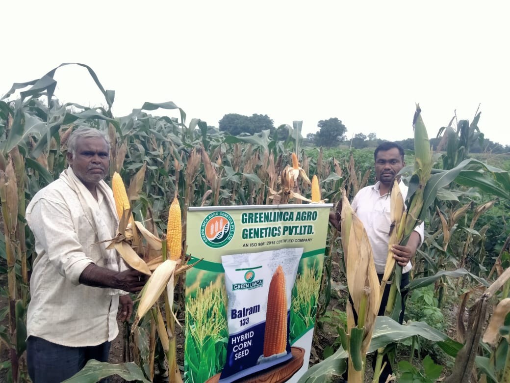 Field Visit 2