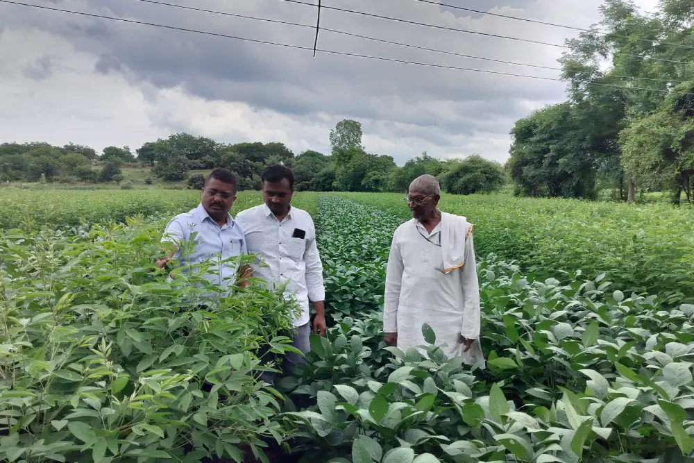 Field Visit 3