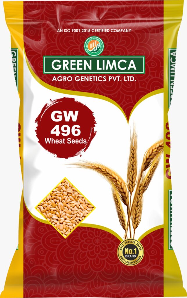 GW-496 Wheat Variety