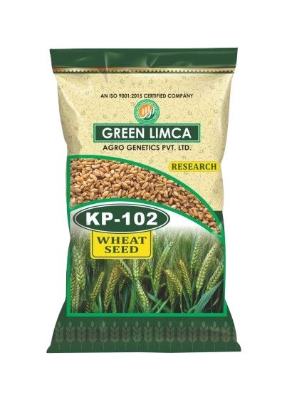 KP-102 Wheat Variety